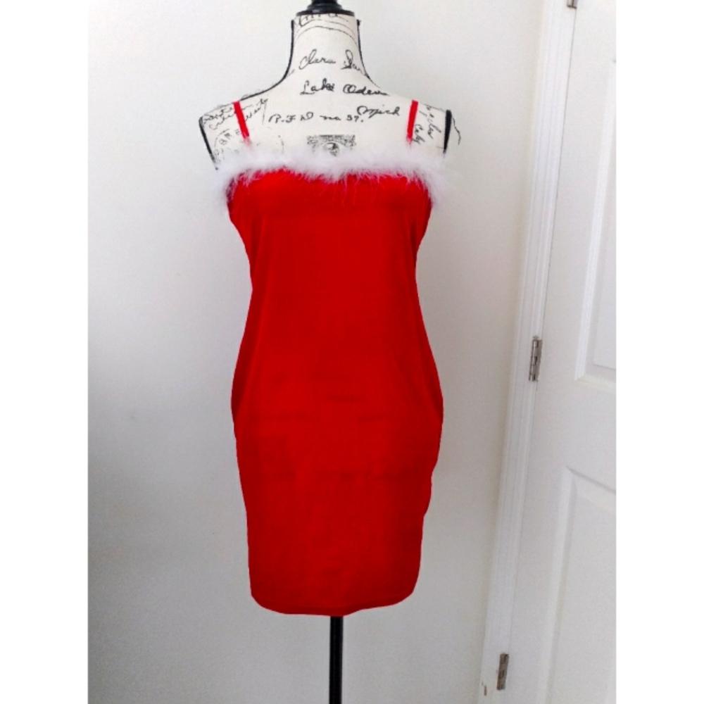 NWT Holiday Dress